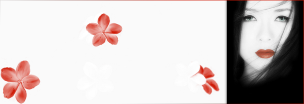 forum Bienvenue sur chez les amies et amis de fabienne !